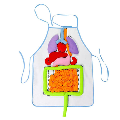 Image of EduGame - Body Anatomy