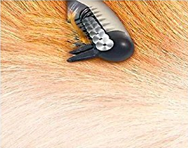 Image of Detangler Grooming Comb