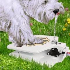 Image of Dog Water Fountain