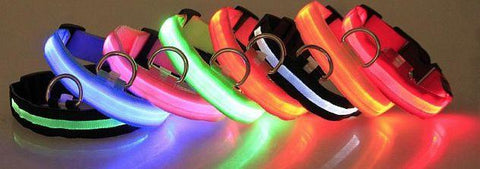 Image of LED Pet Collar