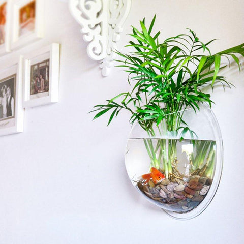 Image of Wall Mounted Fish Bowl-Acrylic