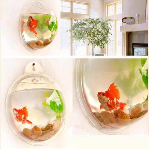 Image of Wall Mounted Fish Bowl-Acrylic