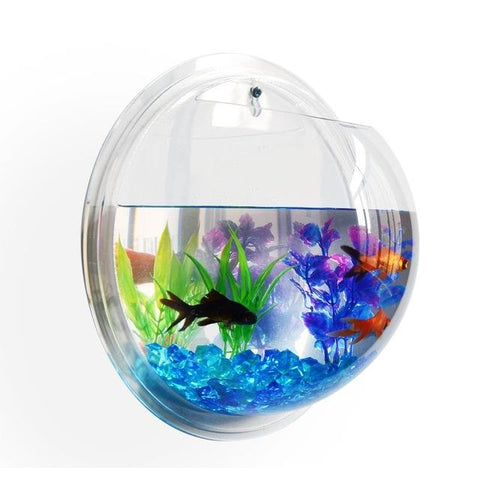 Image of Wall Mounted Fish Bowl-Acrylic