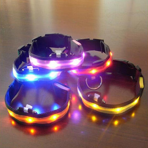 Image of LED Pet Collar