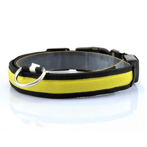 Image of LED Pet Collar