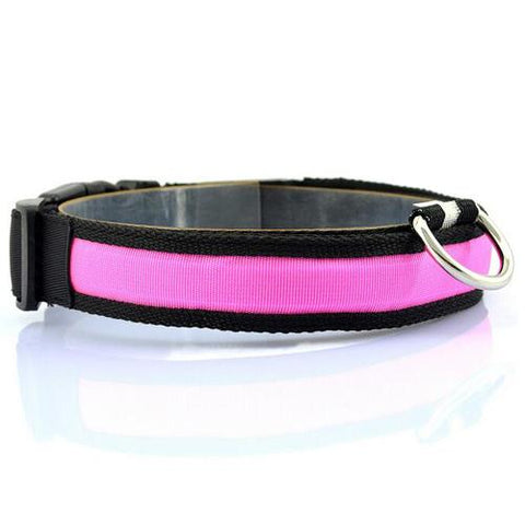 Image of LED Pet Collar