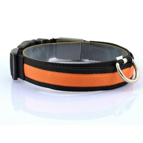 Image of LED Pet Collar