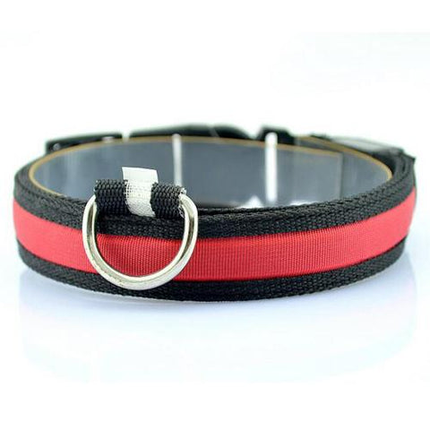 Image of LED Pet Collar