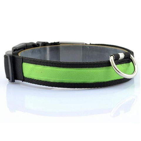 Image of LED Pet Collar