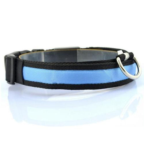 Image of LED Pet Collar