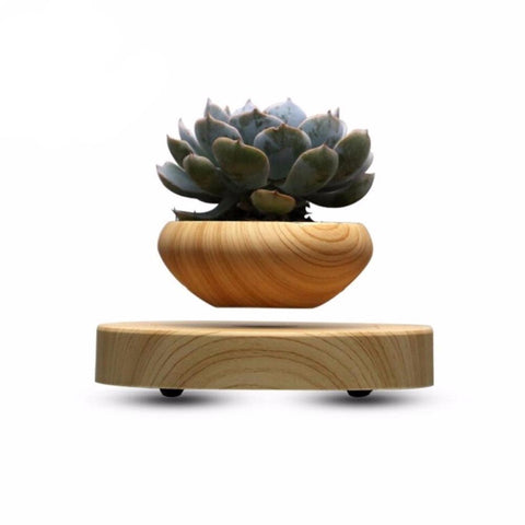 Image of MAGNETIC LEVITATING FLOATING PLANT POT