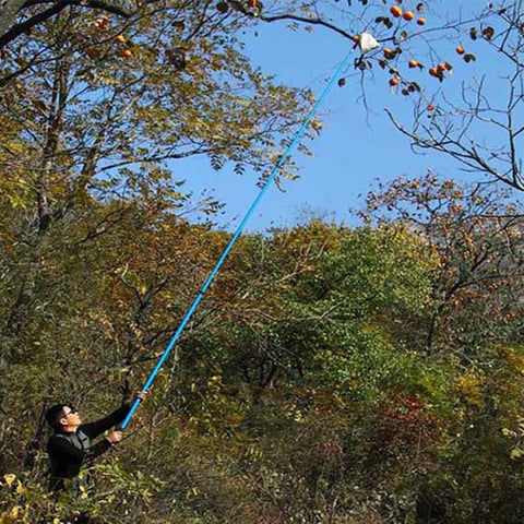 Image of Fruit Picker