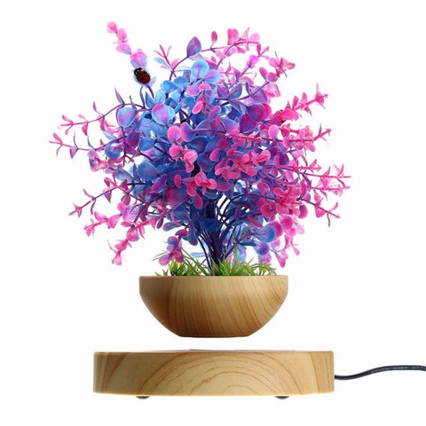 Image of MAGNETIC LEVITATING FLOATING PLANT POT