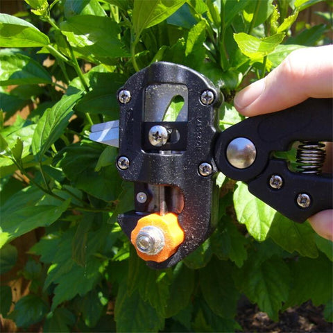 Image of PROFESSIONAL GRAFTING TOOL