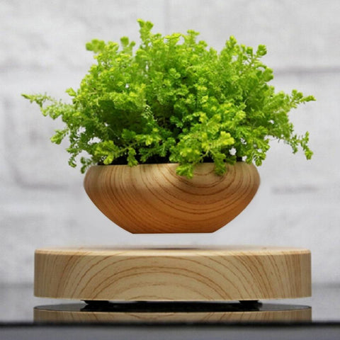 Image of Wooden Levitating Planter