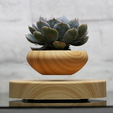 Image of Wooden Levitating Planter