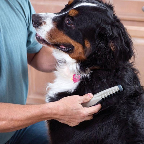 Image of Detangler Grooming Comb