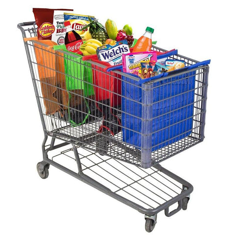 Image of Grocery Shopping Bags with Compartments