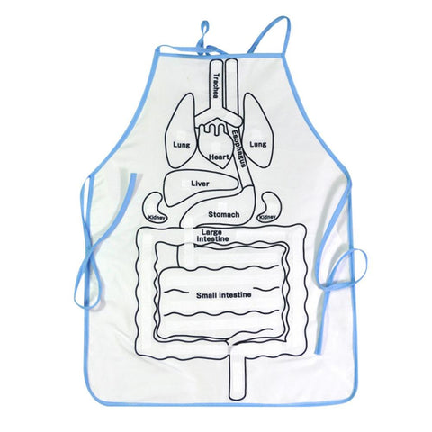 Image of EduGame - Body Anatomy