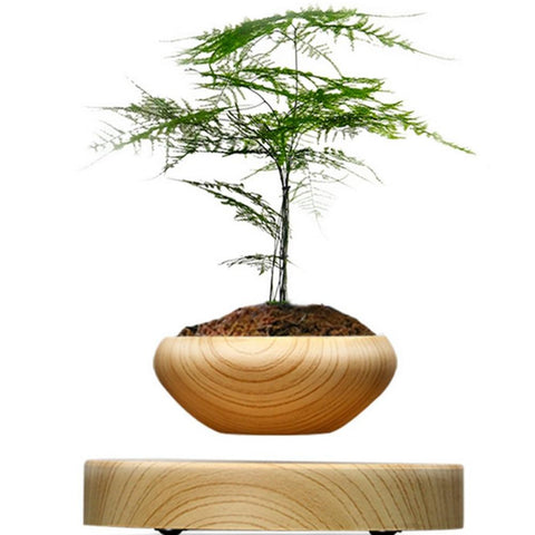 Image of Wooden Levitating Planter