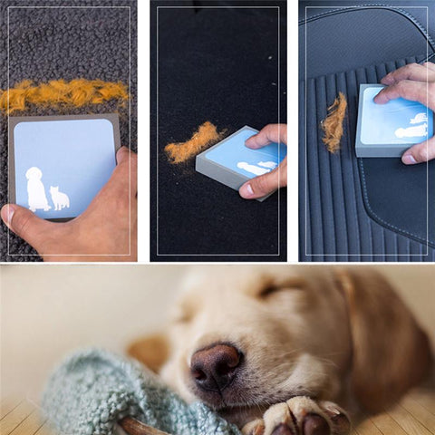 Image of Pet hair cleaning brush